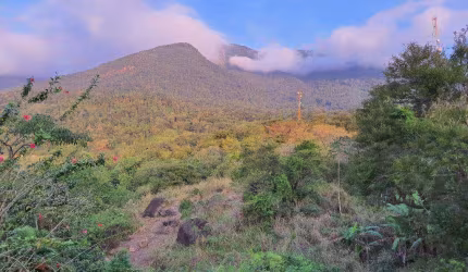 Terreno à venda, 29354 m² por R$ 5.000.000,00 - São Pedro - Ilhabela/SP