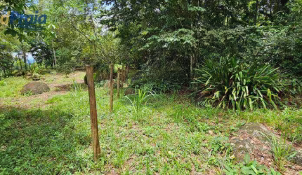 Terreno à venda, 3118 m² por R$ 1.500.000,00 - São Pedro - Ilhabela/SP