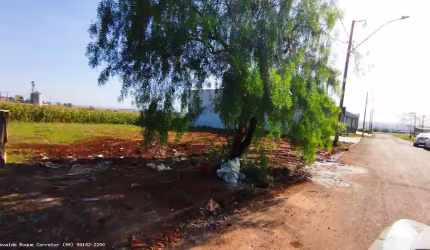 Terreno para Venda em Floresta, JARDIM IMPERIAL l