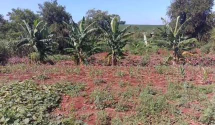 Chácara para Venda em Paiçandu, RURAL, 2 dormitórios, 2 banheiros, 3 vagas
