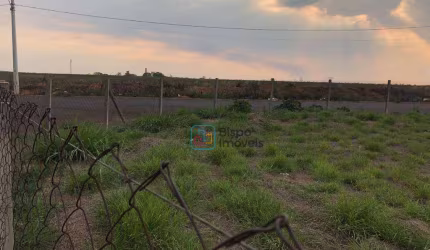 Terreno para alugar, 1300 m² por R$ 3.000,00/mês - Parque Universitário - Americana/SP
