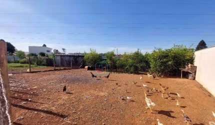 Terreno à venda, 732 m² por R$ 1.280.000,00 - Vila Bertini - Americana/SP