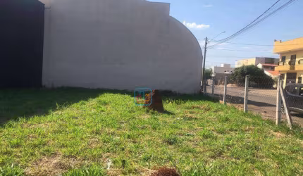 Terreno à venda, 330 m² por R$ 745.000,00 - Dona Regina - Santa Bárbara D'Oeste/SP