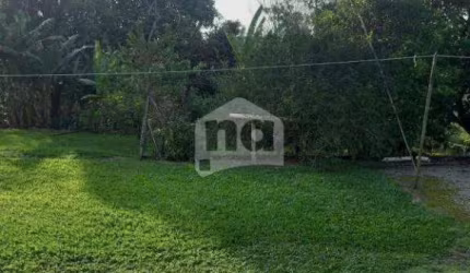 Terreno Plano para Construção – 5.250m² na Ponta de Baixo, São José