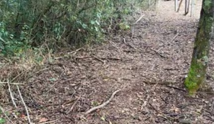 Terrenos para venda em Jundiaí no bairro Santa Clara
