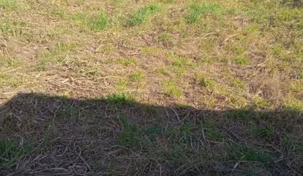 Terrenos para venda em Itupeva no bairro Nova Monte Serrat