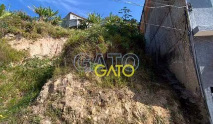 Terreno Residencial à venda, Panorama (Polvilho), Cajamar - TE0041.