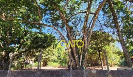 Terreno Residencial à venda, Ipês (Polvilho), Cajamar - TE0045.
