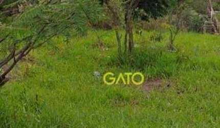 Terreno em Cajamar, Terreno no Polvilho em Cajamar/SP