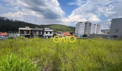 Terreno em Cajamar, Terreno no Portal dos Ipês em Cajamar/SP