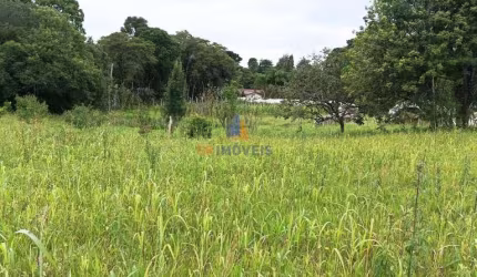 Sítio para Venda em São José dos Pinhais, Contenda