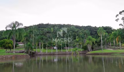 Chácara | Guaramirim (Tibagi) | 158.500m²