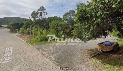 Terreno em Zimbros 450m do Mar