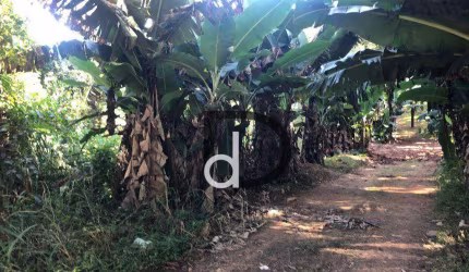 Terreno à venda, 3723 m² por R$ 2.233.800,00 - Vista Alegre - Vinhedo/SP