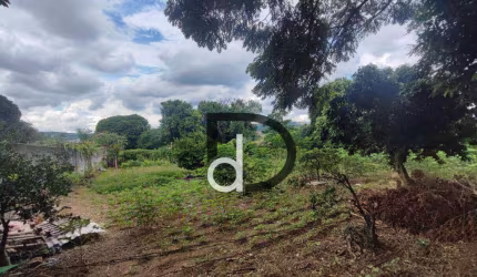 Terreno PLANO, em bairro residencial , PINHEIRINHO 1000M2