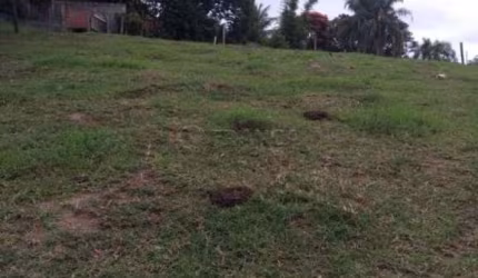 Terreno Padrão em Jacareí