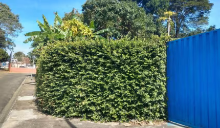 Bela Casa à venda no Bairro do Bom Retiro