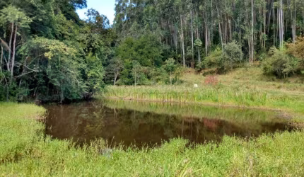 SITIO COM 350.900M² -  BAIRRO DO JACARÉ SANTA BRANCA