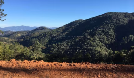 TERRENO 1.767 M² SANTO ANTONIO DO PINHAL