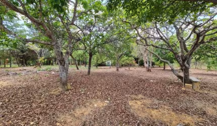 Terreno à venda, 1000 m² por R$ 250.000,00 - Condomínio Estância da Mata - Lagoa Santa/MG