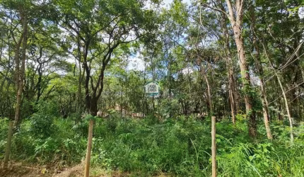 Terreno à venda, 997 m² por R$ 290.000,00 - Condomínio Canto do Riacho - Lagoa Santa/MG