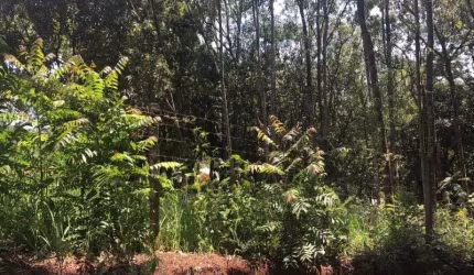 Terreno à venda no Parque Niágara, Campo Limpo Paulista  por R$ 170.000