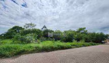 Terreno à venda, 12030 m² por R$ 3.575.000,00 - Passo do Feijó - Alvorada/RS