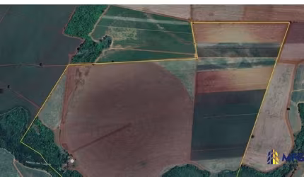 Fazenda à venda na Miguelópolis, Zona Rural, Miguelópolis por R$ 32.000.000