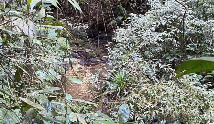 Terreno à venda na Tenente Celestino Américo, Zona Rural, Tapiraí por R$ 1.240.000
