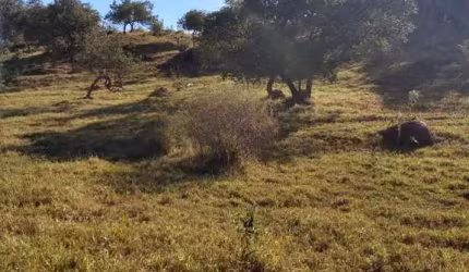Terreno à venda na Antonio Paes  Ramal 1, 1, Caputera, Sorocaba por R$ 6.779.200