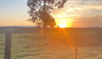 Chácara / sítio à venda na Vicinal, Floresta, Sarapuí por R$ 6.000.000