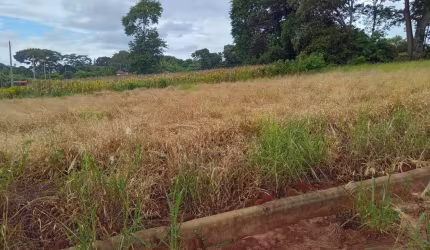 Terreno à venda na Belo Horizonte, 1010, Centro, Barão de Antonina por R$ 75.000