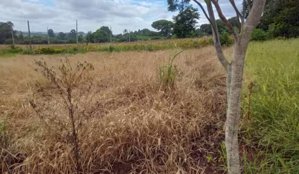 Terreno à venda na Belo Horizonte, 1010, Centro, Barão de Antonina por R$ 75.000