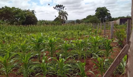 Terreno à venda na estrada briene, 1010, Samanbaial, Barão de Antonina por R$ 42.900