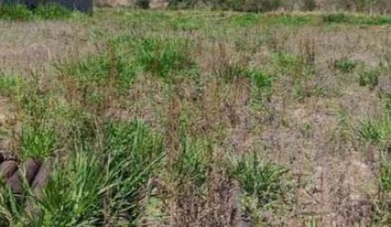 Terreno à venda na Volta Grande, 1010, Vale Verde, Itaporanga por R$ 70.000