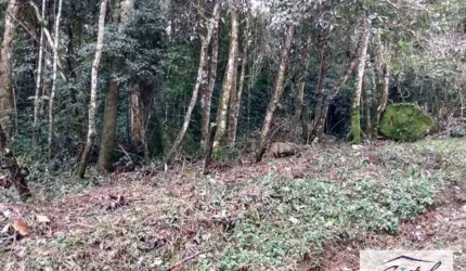 Terreno Residencial à venda, Caucaia do Alto, Cotia - .