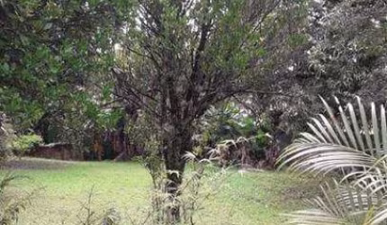 Terreno Residencial à venda, Chácara Canta Galo, Cotia - .