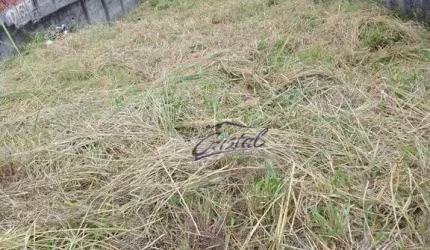 Terreno à venda, 400 m² por R$ 1.100.000,00 - Jardim Bonfiglioli - São Paulo/SP