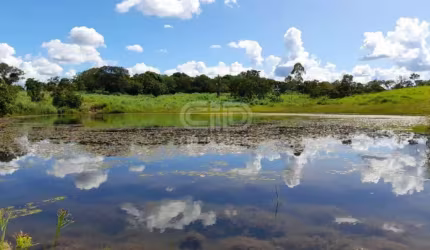 Área com 181 hectares