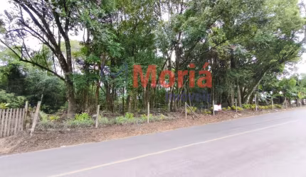 Chácara / sítio à venda na Rua Aleixo Nodari, 2630, Imbuial, Colombo, 16000 m2 por R$ 550.000