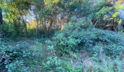 Terreno para Venda em Jardim Rotsen Duque de Caxias-RJ