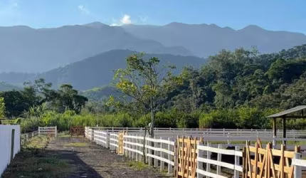 Terreno Xerem em área nobre 1.180m² planos e cercado