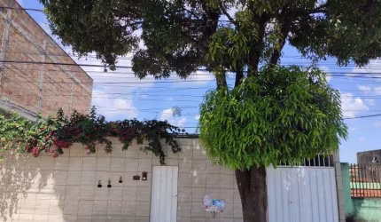 OPORTUNIDADE