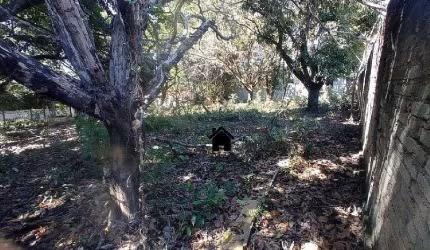 LINDA CHACARA COM 1.500 METROS NO SOLAR DA MADEIRA EM CONTAGEM