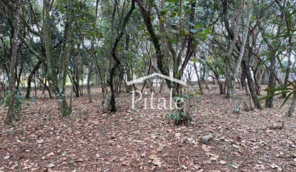 Terreno à venda, 1575 m² por R$ 1.450.000,00 - Vila de São Fernando - Cotia/SP