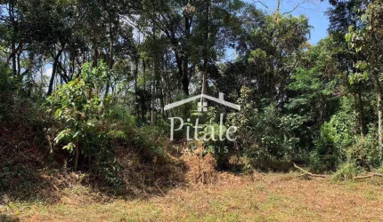 Terreno à venda, 5000 m² por R$ 150.000,00 - Jardim Arpoador - Francisco Morato/SP