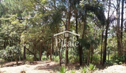 Terreno à venda, 5000 m² por R$ 160.000,00 - Santa Ella - Araçariguama/SP