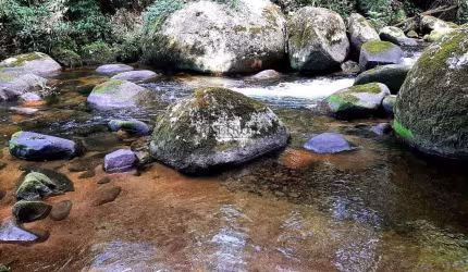 Maravilhoso sítio à venda , R$ 1.400.000 - Pedra Branca - Paraty/RJ