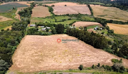 Chácara à venda, 10 alqueires por R$ 4.000.000 - Palmeirinha - Guarapuava/PR