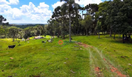 Chácara à venda, 18 alqueires por R$ 1.500.000,00 - Zona Rural - Guarapuava/PR